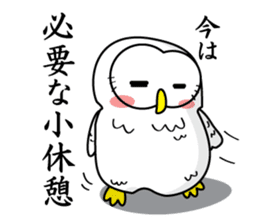 Don't say "Fight!" for man is down. sticker #791720