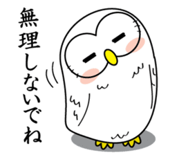 Don't say "Fight!" for man is down. sticker #791733