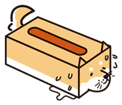 Tissue box Shiba-ken sticker #792606