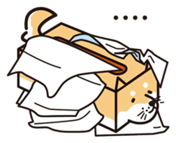 Tissue box Shiba-ken sticker #792610
