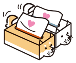 Tissue box Shiba-ken sticker #792611