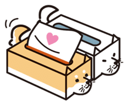 Tissue box Shiba-ken sticker #792612