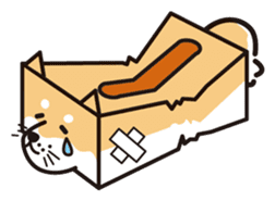 Tissue box Shiba-ken sticker #792614