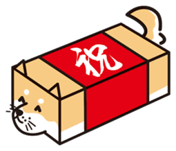 Tissue box Shiba-ken sticker #792616