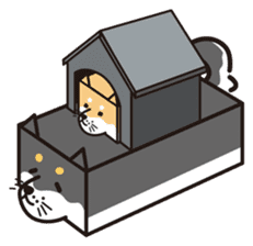 Tissue box Shiba-ken sticker #792617