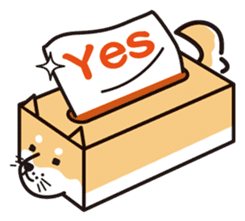 Tissue box Shiba-ken sticker #792619