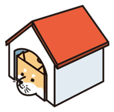 Tissue box Shiba-ken sticker #792621