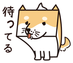 Tissue box Shiba-ken sticker #792624