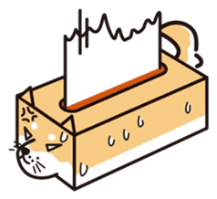 Tissue box Shiba-ken sticker #792626