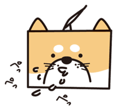 Tissue box Shiba-ken sticker #792634