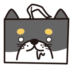 Tissue box Shiba-ken sticker #792635