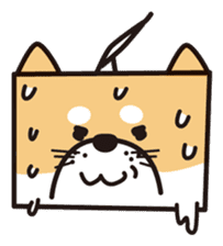 Tissue box Shiba-ken sticker #792636