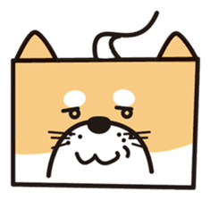 Tissue box Shiba-ken sticker #792637
