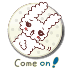 Rabbit shy (English ver) sticker #796066