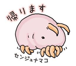 Strange Sea Creatures By Yasuco