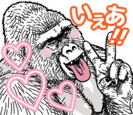 Gorilla gorilla gorilla 7 sticker #798319