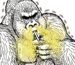 Gorilla gorilla gorilla 7 sticker #798324