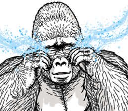 Gorilla gorilla gorilla 7 sticker #798329