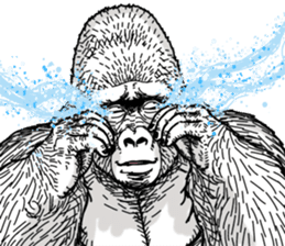 Gorilla gorilla gorilla 7 sticker #798329