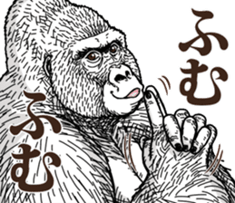 Gorilla gorilla gorilla 7 sticker #798331