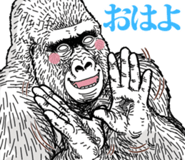 Gorilla gorilla gorilla 7 sticker #798335