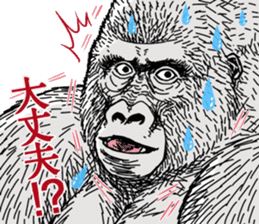 Gorilla gorilla gorilla 7 sticker #798337