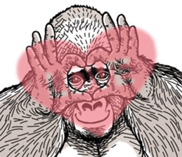 Gorilla gorilla gorilla 7 sticker #798352
