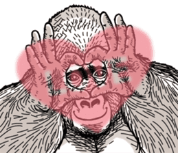 Gorilla gorilla gorilla 7 sticker #798352