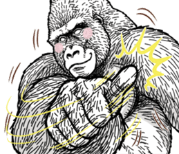 Gorilla gorilla gorilla 7 sticker #798357