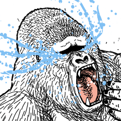 Gorilla gorilla gorilla 5