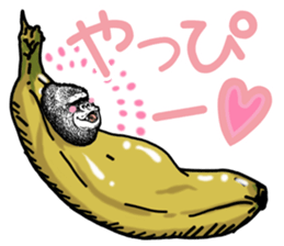 Gorilla gorilla gorilla 5 sticker #798879