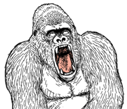 Gorilla gorilla gorilla 5 sticker #798884
