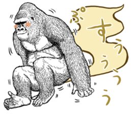Gorilla gorilla gorilla 5 sticker #798885