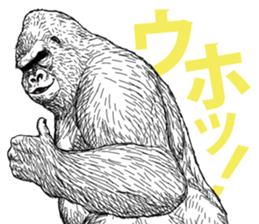Gorilla gorilla gorilla 5 sticker #798886