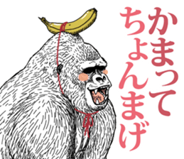 Gorilla gorilla gorilla 5 sticker #798887