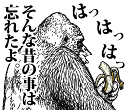Gorilla gorilla gorilla 5 sticker #798891