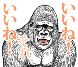 Gorilla gorilla gorilla 5 sticker #798894