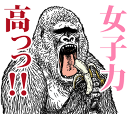 Gorilla gorilla gorilla 5 sticker #798896