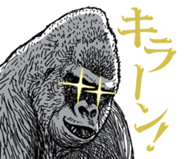 Gorilla gorilla gorilla 5 sticker #798899