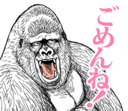 Gorilla gorilla gorilla 5 sticker #798903