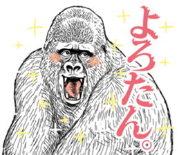 Gorilla gorilla gorilla 5 sticker #798905