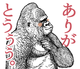 Gorilla gorilla gorilla 5 sticker #798906