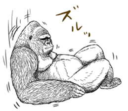 Gorilla gorilla gorilla 5 sticker #798908