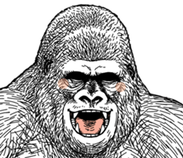 Gorilla gorilla gorilla 5 sticker #798911