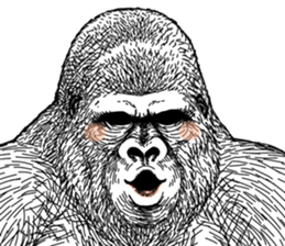 Gorilla gorilla gorilla 5 sticker #798913