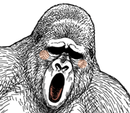 Gorilla gorilla gorilla 5 sticker #798915
