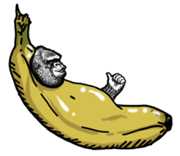 Gorilla gorilla gorilla 5 sticker #798917