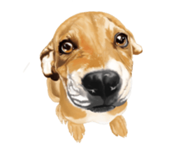 Dog illust sticker #799568