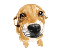 Dog illust sticker #799568