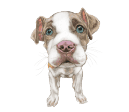 Dog illust sticker #799570